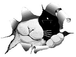 :ani_cat: